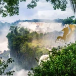 تور ماداگاسکار