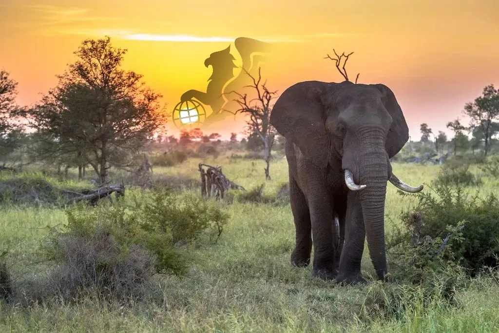 تور طبیعت‌گردی آفریقای جنوبی