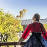 تور کره جنوبی