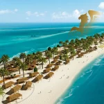 جزیره صیر بنی یاس