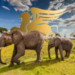 مقایسه تور آفریقای جنوبی