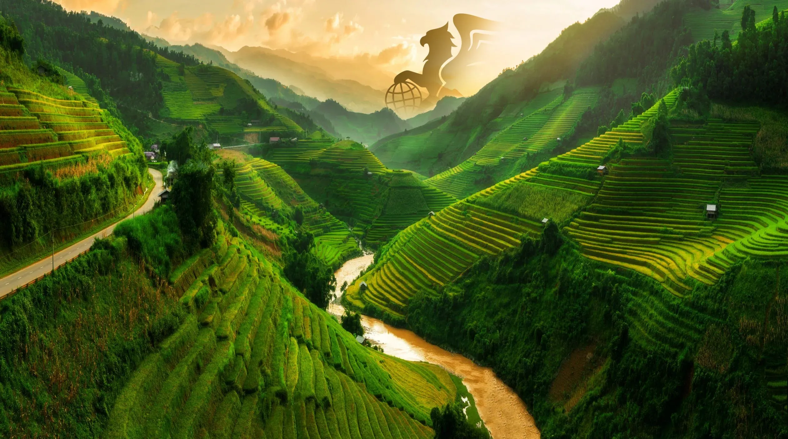 تور ویتنام و جزیره کرم شب‌تاب