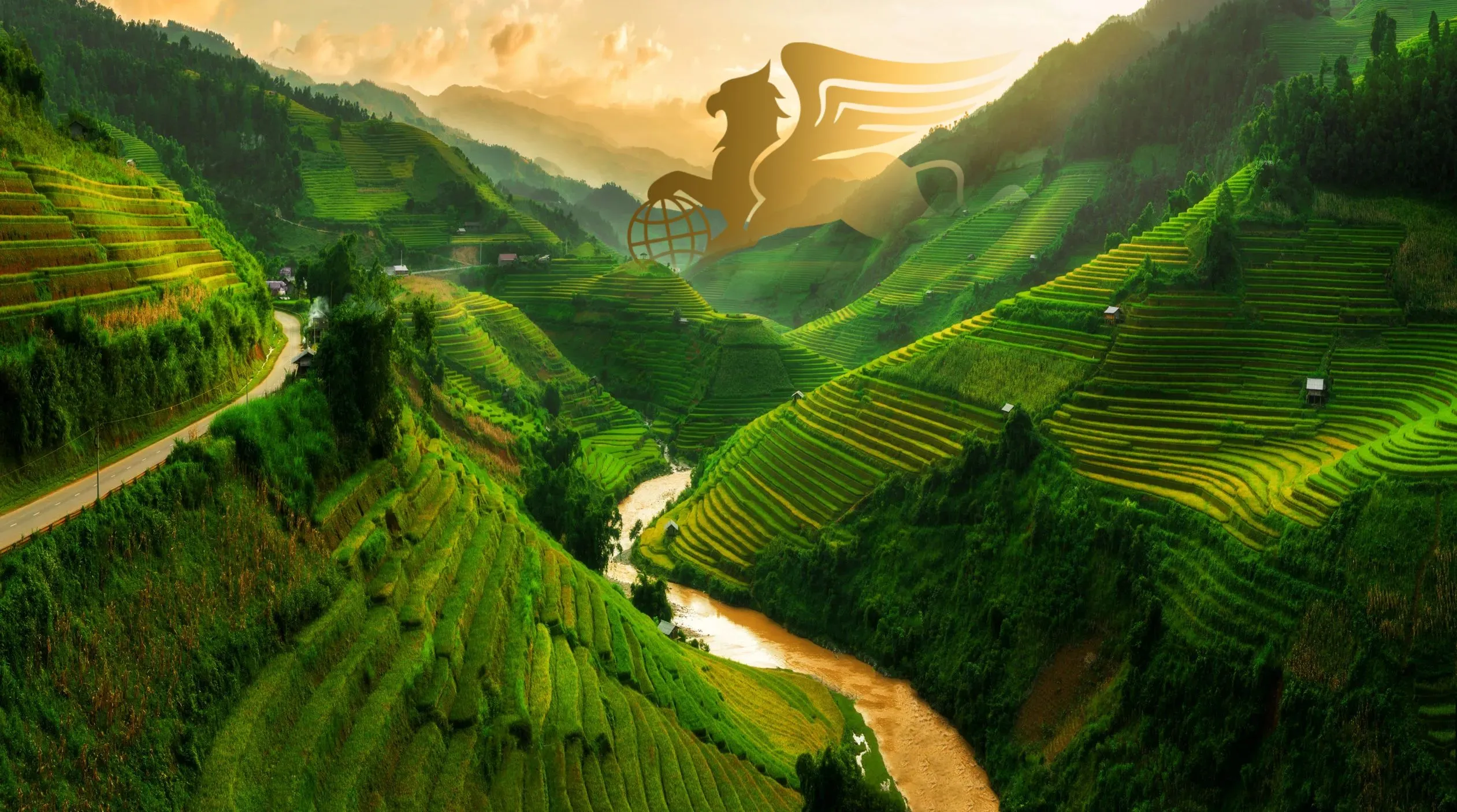 تور دور ویتنام