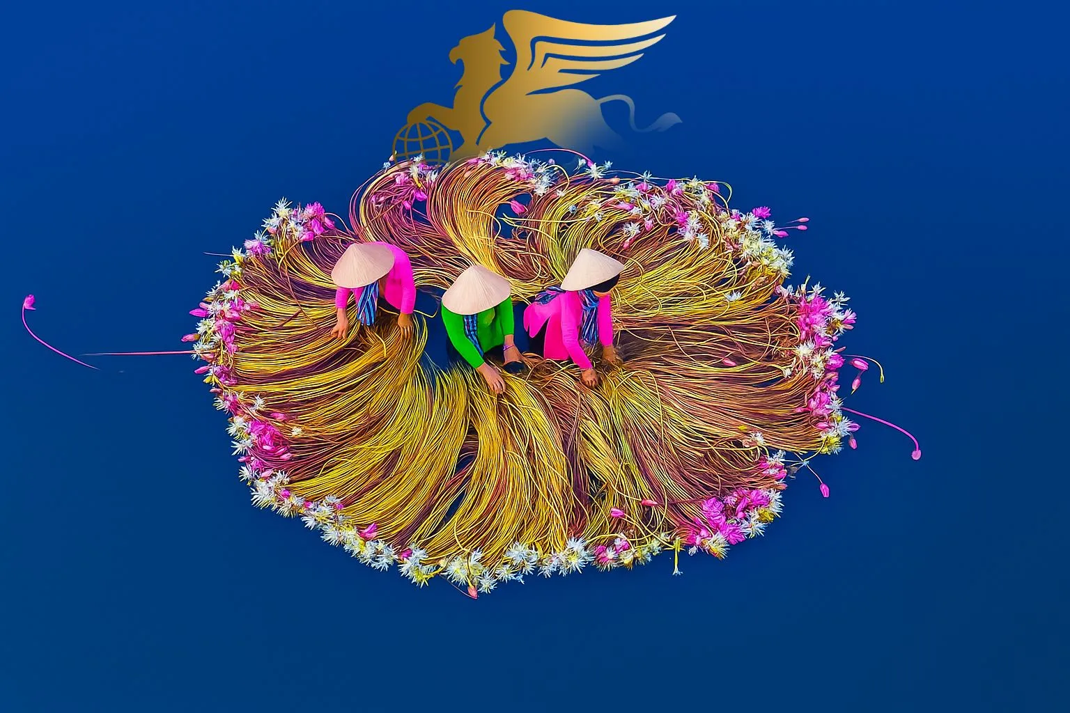 دلتای مکونگ ویتنام