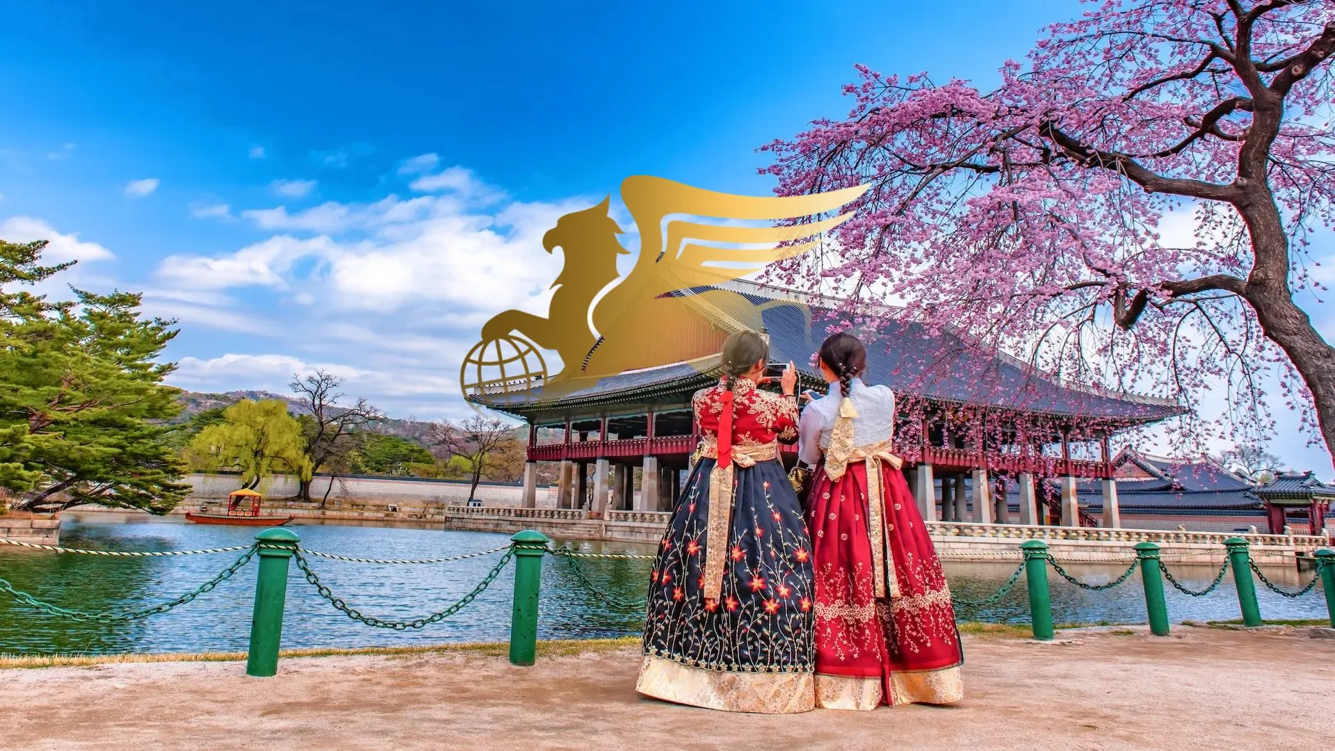 راهنمای کامل تور کره جنوبی